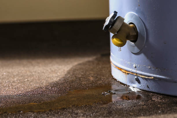 Water damage restoration mold remediation in Home, WA