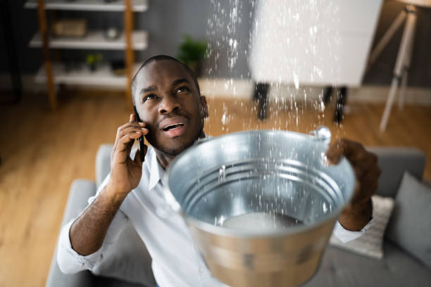  Home, WA Water damage restoration Pros