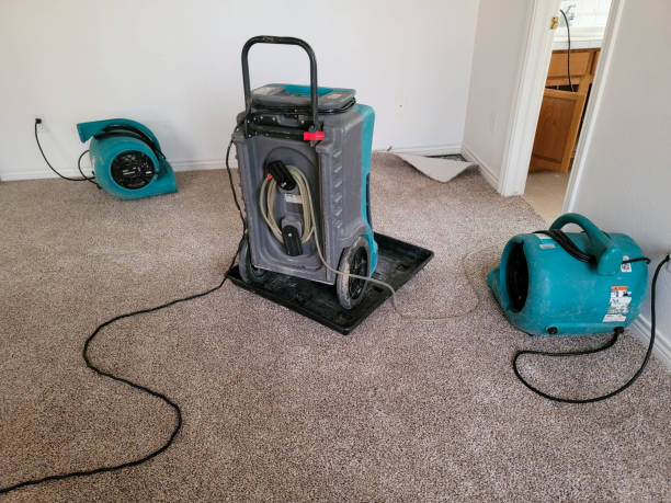 Professional Water damage restoration in Home, WA