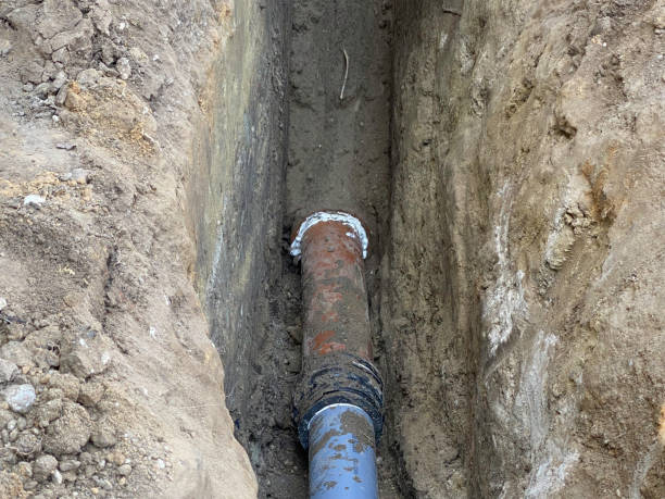Best Sewage cleanup and water damage restoration  in Home, WA