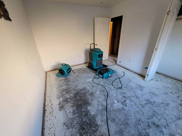 Best Residential water damage restoration  in Home, WA