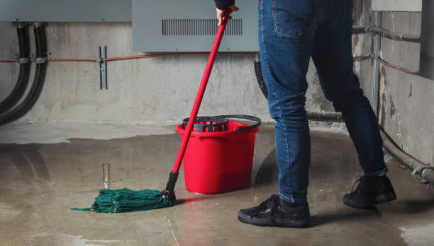 Best Carpet water damage restoration  in Home, WA