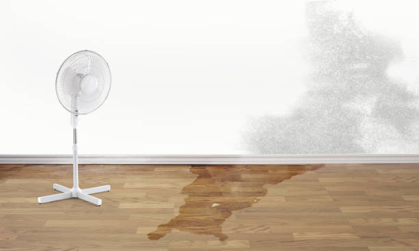 Best Water damage restoration cost  in Home, WA