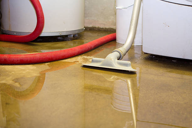 Best Carpet water damage restoration  in Home, WA
