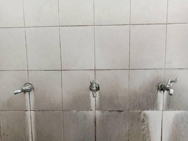 Best Commercial water damage restoration  in Home, WA