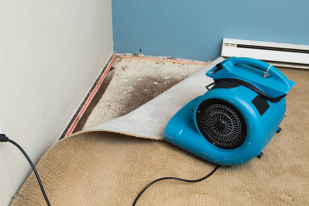 Best Water damage restoration insurance claims  in Home, WA